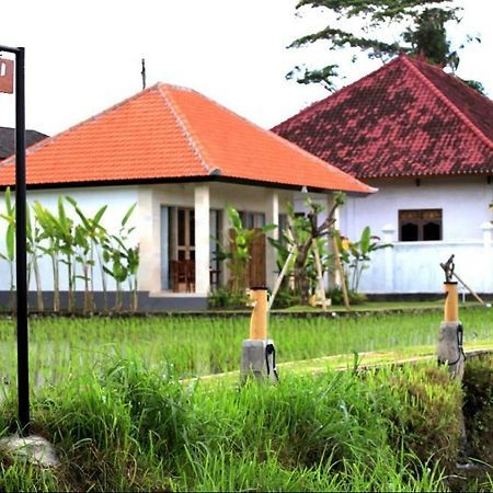 Padi Guest House Keramas Kültér fotó